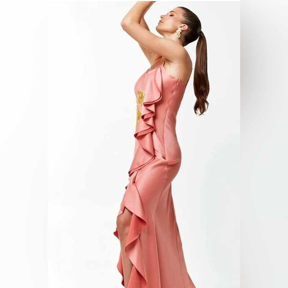 🆕MESTIZA NEW YORK Nadia gown flamenco pink embroidered formal gown Sz 10